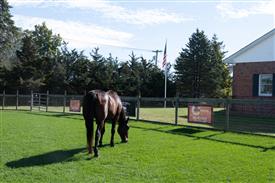 LR-WRF 10182025 Retreat-6565